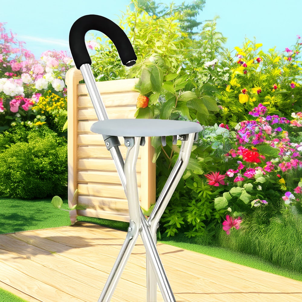 BME11001 Description 01 BME11001 CANE AVEC SEAT Product Show